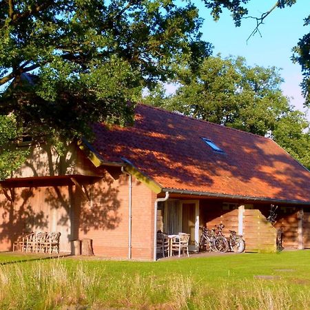 Holiday Home In Geesteren With Roof Terrace Garden Furniture エクステリア 写真